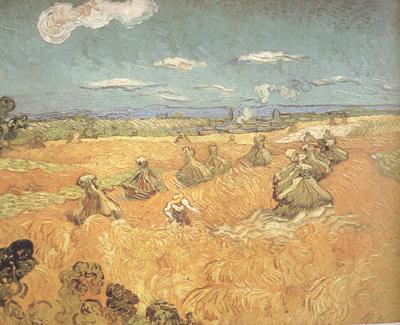 Vincent Van Gogh Wheat Stacks wtih Reaper (nn04) oil painting picture